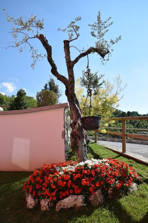 Agriturismo Terra Verde Villa Rotonda Kültér fotó