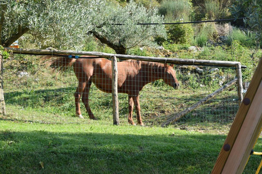 Agriturismo Terra Verde Villa Rotonda Kültér fotó