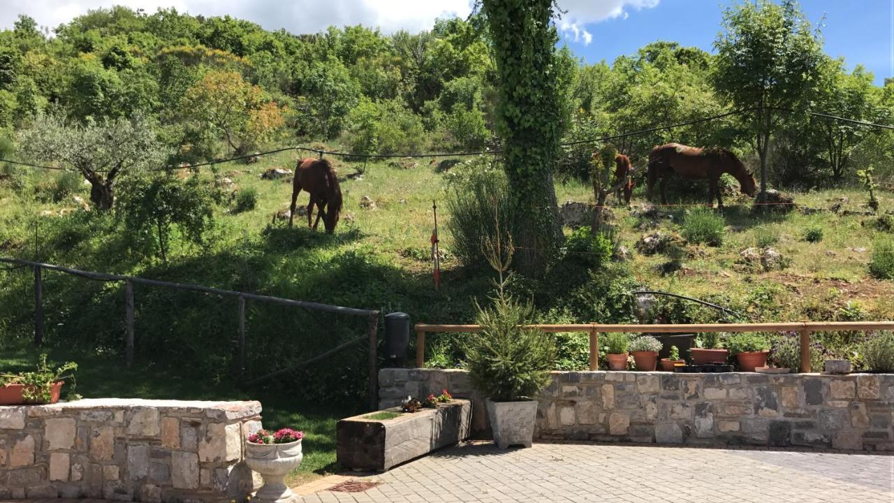 Agriturismo Terra Verde Villa Rotonda Kültér fotó