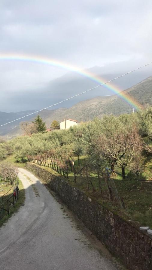 Agriturismo Terra Verde Villa Rotonda Kültér fotó