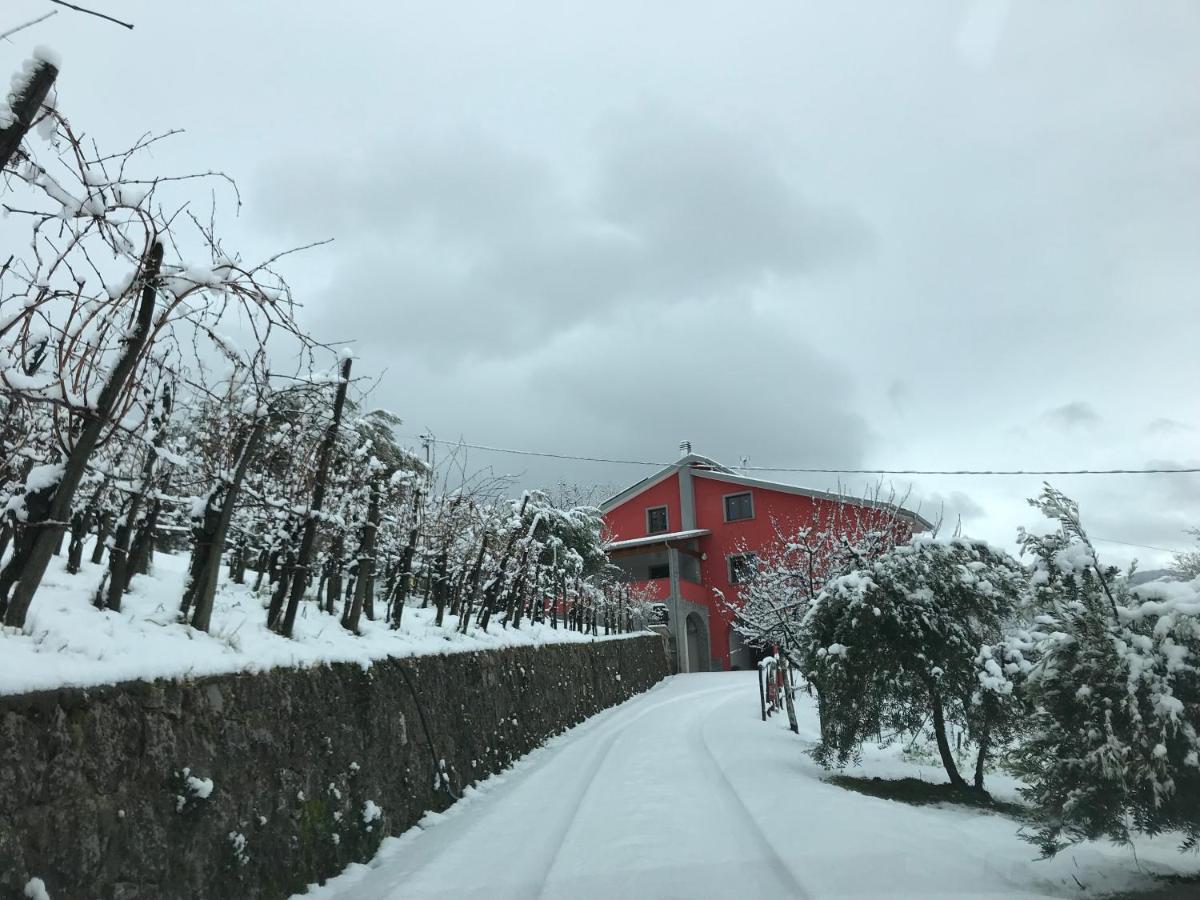 Agriturismo Terra Verde Villa Rotonda Kültér fotó